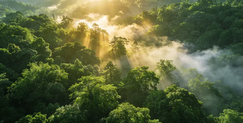 驻马店肺癌靶向39基因检测及PDL122C3表达检测套餐（组织）图片1