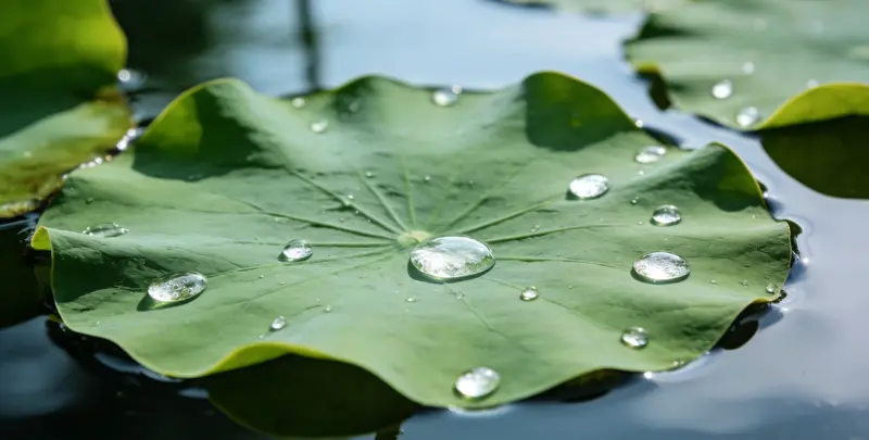 驻马店乳腺癌21基因mRNA表达分析图片1