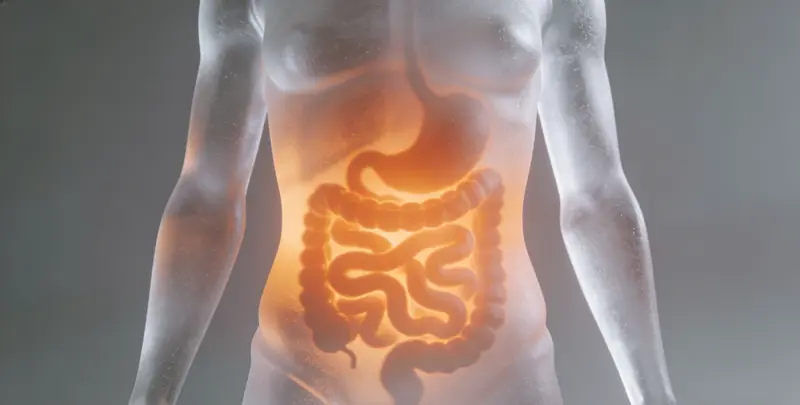 驻马店胃癌分子分型基因检测项目（组织）图片1